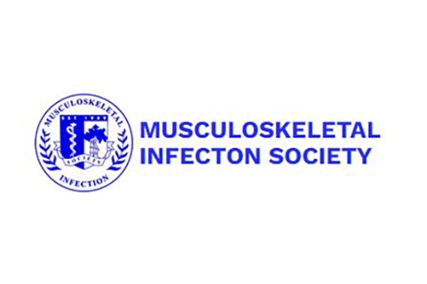 MSIS Logo