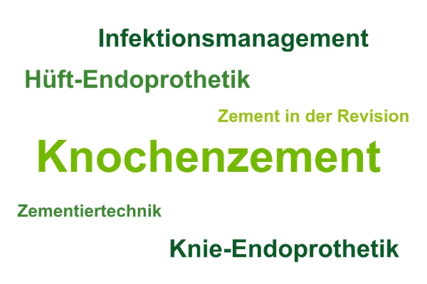 PALACADEMY Themen: Knochenzement, Hüft-Endoprothetik, Knie-Endoprothetik, Infektionsmanagement, Zementiertechnik, Zement in der Revision